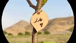 پویش سراسری نهال‌کاری «درختی برای پدر، سبزی برای ایران» برگزار می‌شود