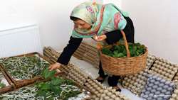 تزریق تسهیلات ۲۰ میلیارد ریالی بنیاد برکت به مشاغل خانگی کشاورزی چالوس