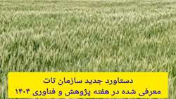 جهش عملکرد گندم دیم با مصرف هدفمند کود اوره