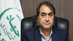 توزیع روزانه بیش از ۵۰ هزار تن نهاده دامی در کشور/ سهمیه دی ماه به زودی در بازارگاه بارگذاری می شود  