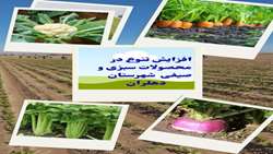 اجرای طرح افزایش تنوع کشت سبزی و صیفی در شهرستان دهلران
