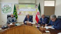 صادرات حدود ۶۴۶ هزار تن سیب درختی از گمرکات کشور 