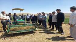 مشارکت 42 درصدی کشاورزان شهرستان ورزقان در دوره های آموزشی- ترویجی 