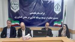 صندوق‌های حمایت از زنان روستایی تقویت می‌شوند 