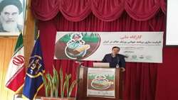برگزاری کارگاه بین‌المللی آموزشی ظرفیت‌سازی برنامه جهانی «پزشک خاک» در استان گلستان
