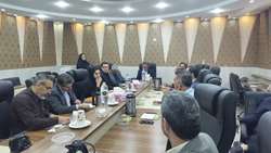تعیین تکلیف ۱۳ پرونده در کمیسیون تبصره یک ماده یک استان بوشهر