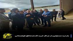 بازدید نماینده مردم شرق استان گلستان در مجلس از مراکز خرید تضمینی گندم 