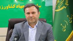 پیش‌بینی برداشت ۲۴ هزار تن گیاه دارویی در لرستان