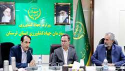 لرستان در جمع شش استان برتر دامداری روستایی و عشایری کشور/ سهم ۴۰۰ هزار رأس دام سبک در طرح ملی خوداتکایی گوشت قرمز