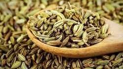 کاهش چشمگیر برداشت زیره سبز از مزارع تربت‌جام