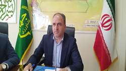 برداشت کلزا از مزارع آذربایجان‌غربی آغاز شد
