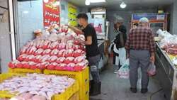  بازار مطلوب تولید و توزیع مرغ در لرستان  