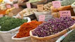کشت ۱۰ هزار هکتار گیاه دارویی در خراسان‌شمالی