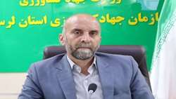 توسعه کاشت درخت و حفاظت از جنگل ها در الویت کاری جهاد کشاورزی لرستان