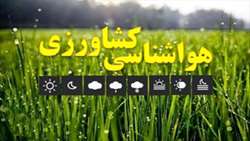 سازمان هواشناسی هشدار نارنجی کشاورزی صادر کرد/ نفوذ زبانه‌های پرفشار سرد در روزهای آغازین سال نو