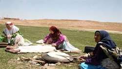 پرداخت ۱۵۰ میلیارد ریال تسهیلات به زنان عشایردر دزفول