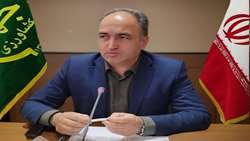 آذربایجان غربی پیشتاز طرح جهش تولید در دیم‌زارها با مشارکت بیش از ۴۳ هزار بهره بردار 