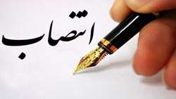 «سیدعلی محققی» عضو موظف هیات مدیره شرکت خدمات حمایتی کشاورزی شد
