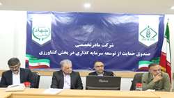 تقویت و توسعه صنعت پرورش میگو در بوشهر با بهره‌مندی از ظرفیت نهادی صندوق حمایت از توسعه کشاورزی