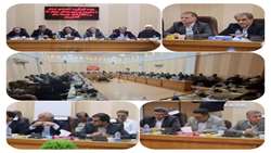 تنها ۲۰ درصد از اشتغال استان ایلام در بخش کشاورزی فعال است 
