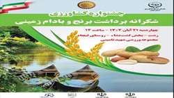 جشنواره برنج و بادام