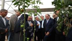 بازدید وزیر جهاد کشاورزی از دو پروژه بزرگ گلخانه‌ای در حال ساخت شهرستان هریس