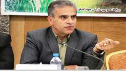 تأکید بر تأمین کمباین برداشت غلات و افزایش دوره بازپرداخت تسهیلات در استان مرکزی  