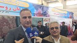 تولید سالانه 350 تن نگین زعفران در کشور/ ظرفیت صادرات 800 میلیون دلاری زعفران وجود دارد