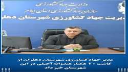 کاشت ۲۰ هکتار هندوانه آجیلی برای نخستین بار در شهرستان دهلران 