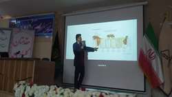 ارائه راهکار های مقابله با بیماری های زنبور/ خشکسالی و بازکردن مسیر های جدید بازاریابی محصولات زنبور