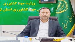  توزیع فوری یک هزار و ۵۰۰ تن نهاده طیور در لرستان  