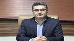 استفاده از پنل‌های خورشیدی در شهرک‌های شیلاتی و گلخانه‌ای در دستور کار است/ اردبیل پیشرو در توسعه گلخانه‌ها