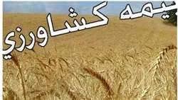 بیمه اجباری زراعت و تامین نهاده‌ها در استان مرکزی پیگیری می‌شود.
