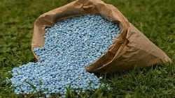 ذخیره ۱۰ هزار تن کود برای کشت پاییزه در خراسان شمالی