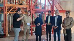تولید ماده مؤثره علف‌کش با اتکا با دانش بومی، گامی راهبردی در مسیر خودکفایی است