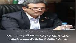 برای اولین‌بار در کرمانشاه؛ آغاز کشت سویا در ۱۸۰ هکتار از مناطق گرمسیری استان