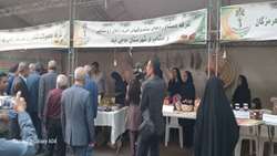 جشنواره «مغ مهرگان» در  حاجی‌آباد آغاز به کار کرد