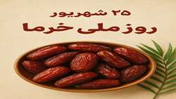 صادرات خرمای فرآوری‌شده آذربایجان شرقی به بازارهای اوراسیا و اروپا
