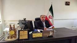 افزایش ۱۳۰ درصدی جوجه‌ریزی در شهرستان اسکو