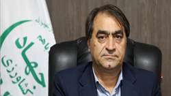 عرضه گوشت مرغ منجمد با قیمت مصوب برای تنظیم بازار 