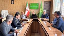 برنامه‌ریزی برای برگزاری جشنواره ملی عناب و زرشک در پایتخت