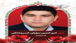 پیام تسلیت و محکومیت شهرام شفیعی رئیس سازمان جهاد کشاورزی استان آذربایجان شرقی در پی شهادت یکی از دامداران خسروشاهی در حملات صهیونیستی آمریکایی و حمله به اماکن دامی