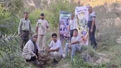 توزیع ۱۲۰ اصله نهال رایگان بین گردشگران منطقه سرکوه شهرستان پارسیان 