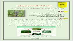 سازمان حفظ نباتات کشور 