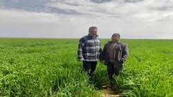 آموزش چهره‌به‌چهره در مزارع بوئین‌زهرا؛ راهبرد جهاد کشاورزی در دوران محدودیت‌ها