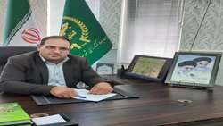 هشدار به گندم‌کاران و جوکاران بخش چاهک: آفت شته مزارع را تهدید می‌کند