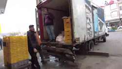 گزارش تصویری و ویدئویی از وضعیت بازار مرغ و تخم‌مرغ در استان آذربایجان شرقی 