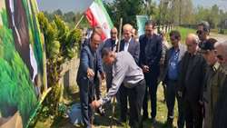 کاشت ۱۶۸ اصله نهال به یاد شهدای دانش آموز میناب در شهرستان شفت