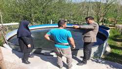 بازدید کارشناسان جهاد کشاورزی لنگرود از پروژه تولید ماهیان خاویا