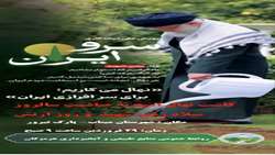 کاشت ۱۶۸ نهال نخل به یاد رهبر شهید و شهدای دانش آموز در شهرستان میناب 